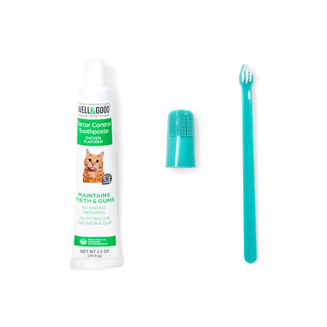 Cats and toothpaste 2025