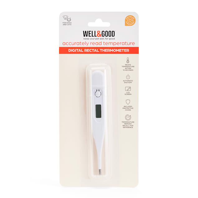 Dog Thermometer  The Most Important Tool in Your Pet First Aid Kit