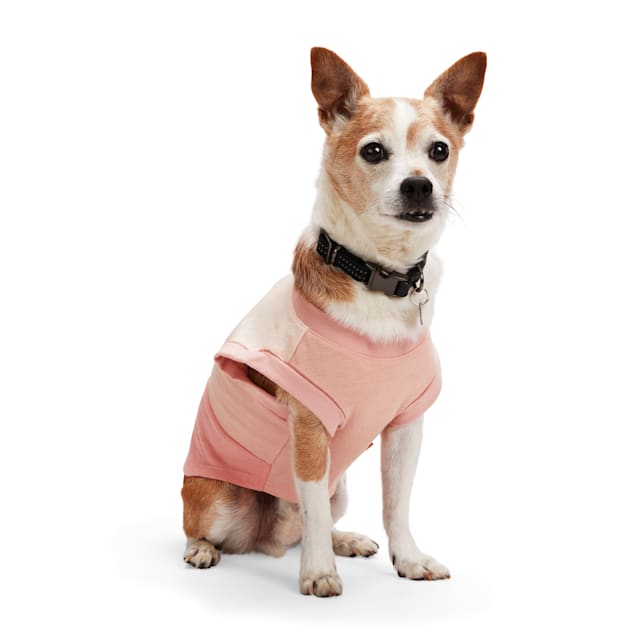 Dog Basketball Jersey Clothes Boy Girl Dog Pet Vest Clothes Puppy Shirt Apparel Cute Outfit Summer Fashion Cotton Dog Tshirt Female for Large Dogs