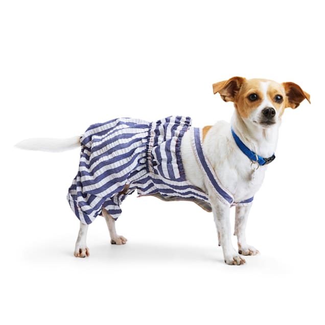 achterlijk persoon Th Rouwen YOULY Navy/White Stripe Dog Romper, XX-Small | Petco