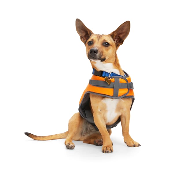 YOULY Orange Blue Dog Float XX Small