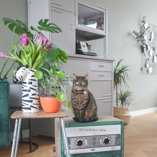 District 70 Emerald Mix Tape Cardboard Cat Scratcher, 21.2" L X 12.2" W X 13.7" H - Carousel image #1