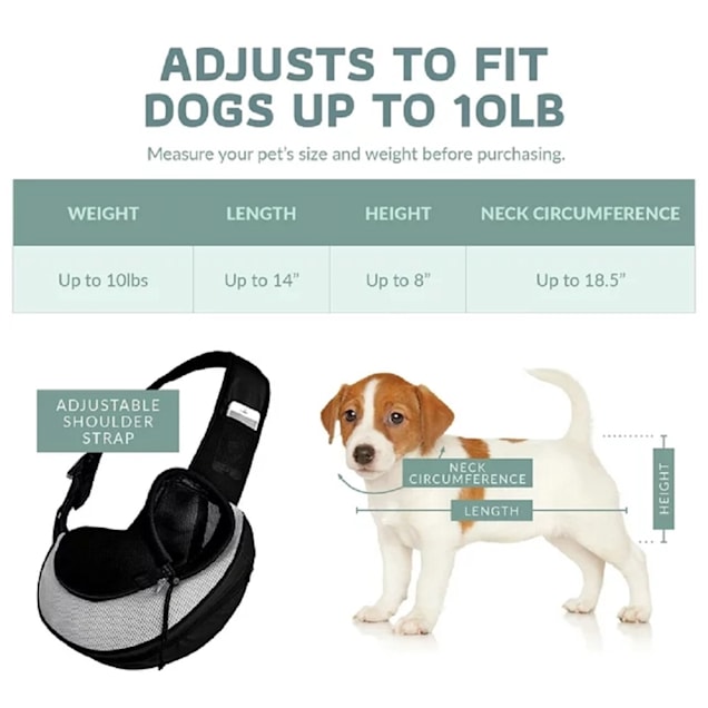Petco small online dog carrier