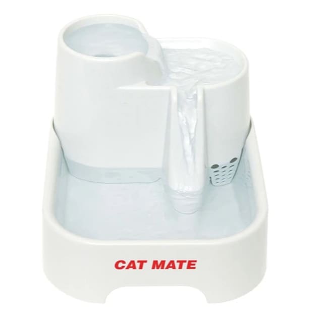 Cat Mate Pet Drinking Fountain  Why it's GOOD for your cat! 