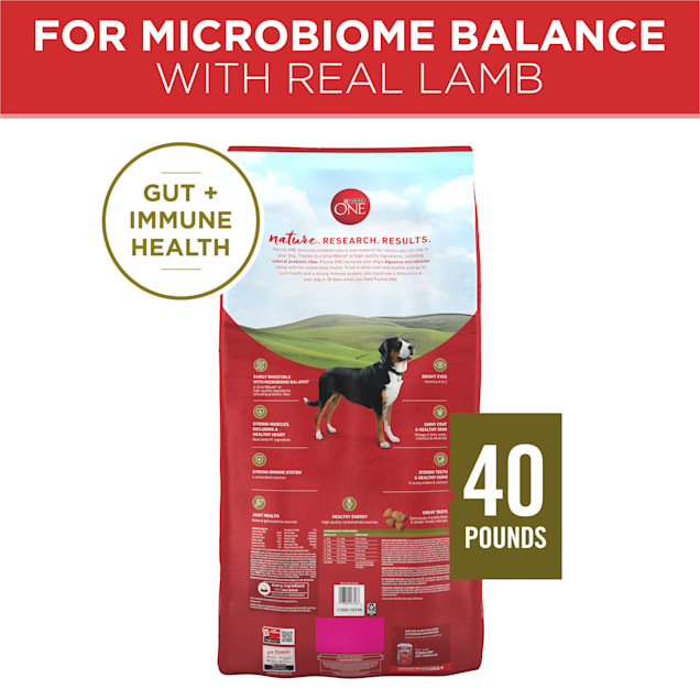 Purina one lamb rice top