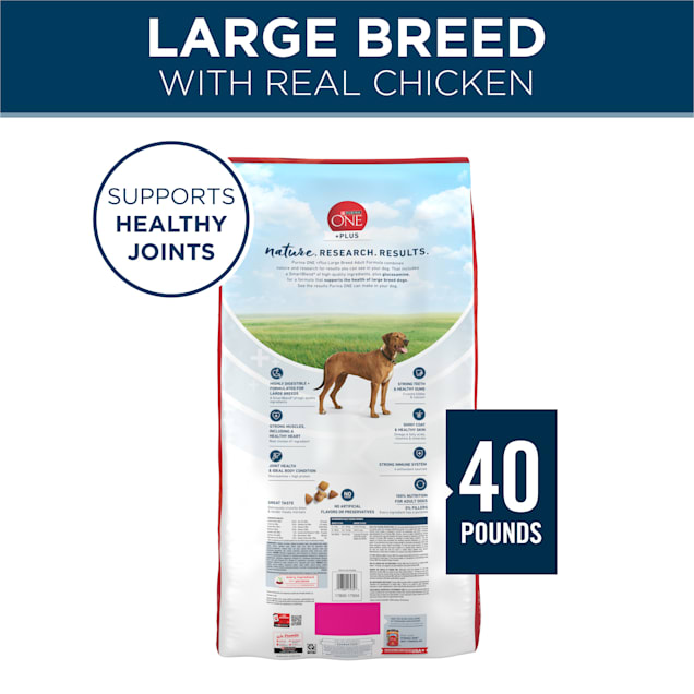 Purina ONE +Plus Large Breed Adult Dry Dog Food