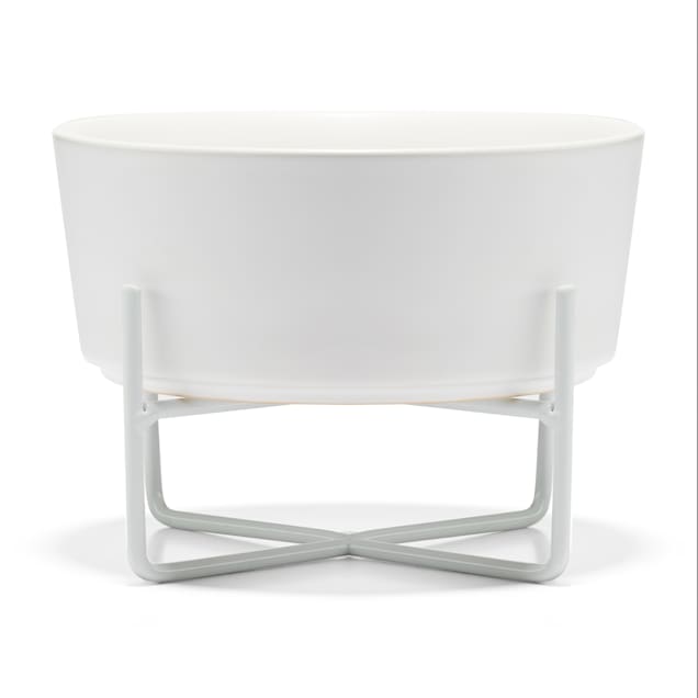 Petco dog bowl stands top