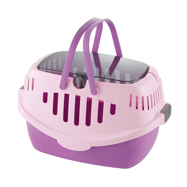 Richell Small Animal Carrier, 12 L X 19.5 W X 11.5 H