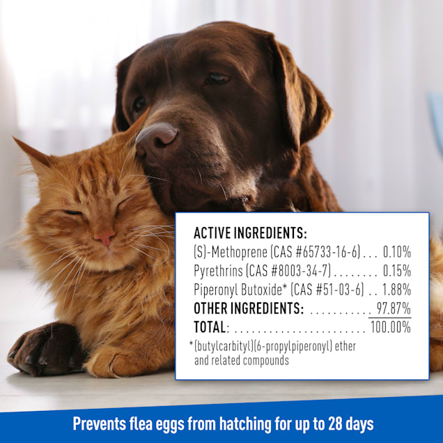 Adams dog outlet flea shampoo