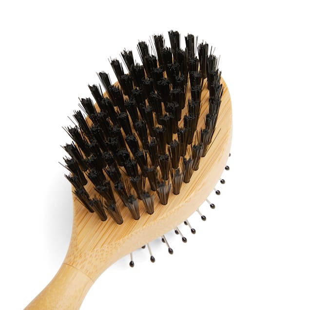 Bristle brush dog clearance