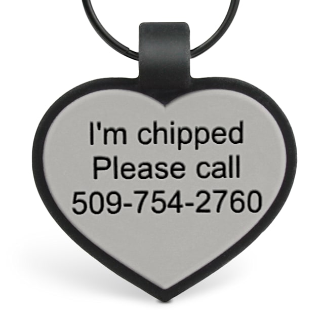 Dog tag silencers petco top