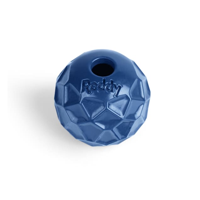 Jolly ball outlet dog toy petco