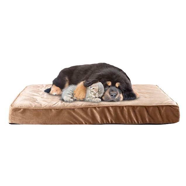 Pet Adobe Egg Crate Memory Foam Pet Bed, 37" L X 24" W X 4" H - Carousel image #1