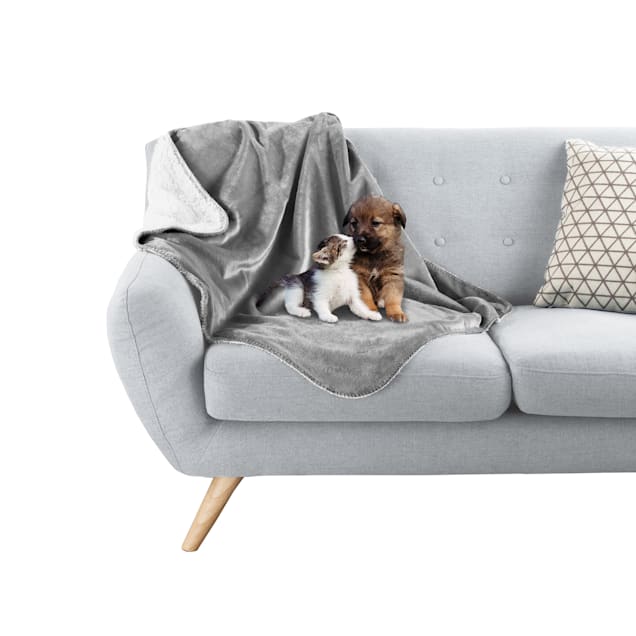 Petco dog blankets discount