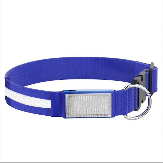 Petco light up collar clearance