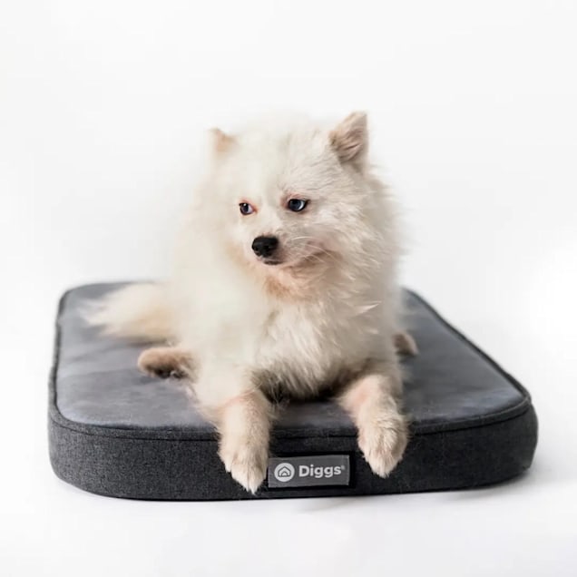 Diggs Snooz CertiPUR-US Dark Grey Memory Foam Dog Crate Pad Bed, 30.3" L X 18.9" W X 2.8" H - Carousel image #1