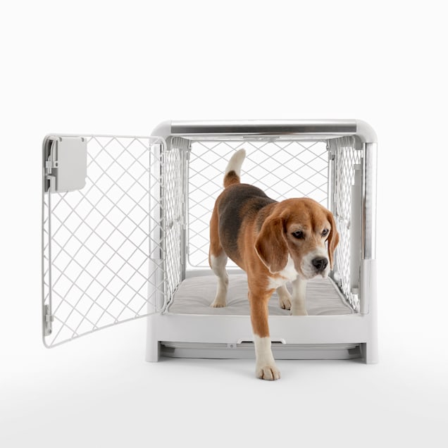 Cage divider for hot sale dogs
