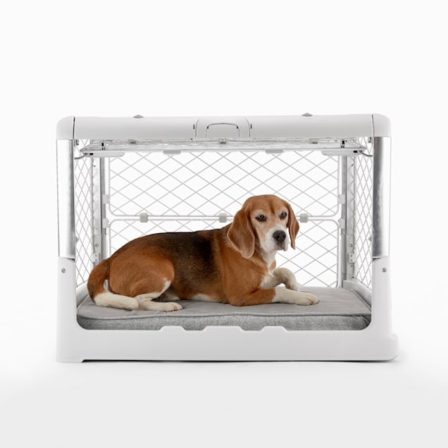 Puppy Crate Training Schedule: A How-To Guide - Diggs