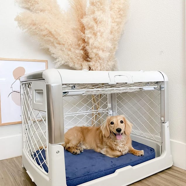 Diggs Ash Revol Double-Door Collapsible Dog Crate with Tray and Divider, 34.7" L X 24.5" W X 26.2" H - Carousel image #1