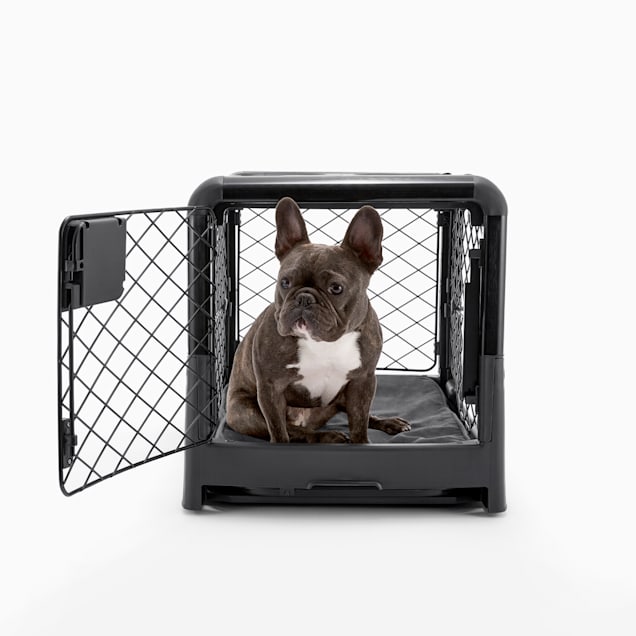 Dog crate sizes petco best sale