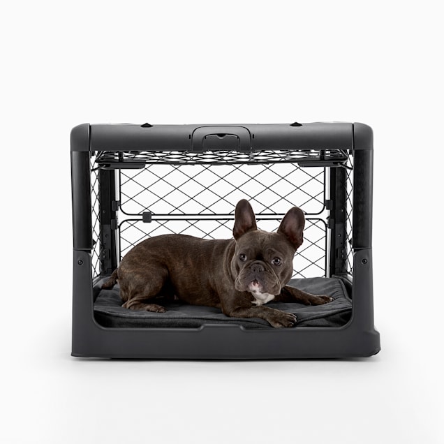 Diggs Revol Charcoal Double-Door Collapsible Dog Crate With Tray And  Divider, 28 L X 20 W X 21 H