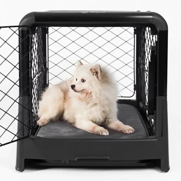Diggs Charcoal Revol Double-Door Collapsible Dog Crate with Tray and Divider, 27" L X 20.8" W X 20" H - Carousel image #1