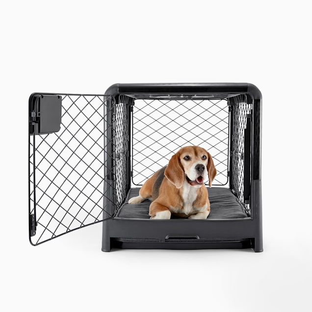 Diggs Revol Medium Collapsible Dog Crate & Divider 35"x23"x24"