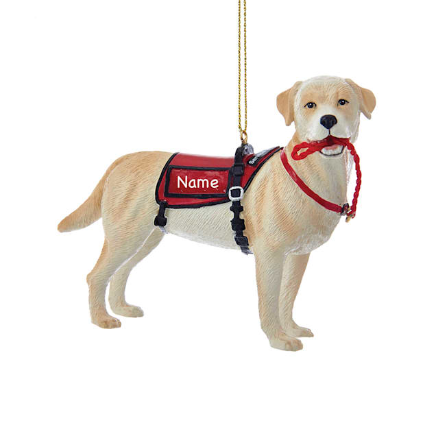 Service dog patches discount petco