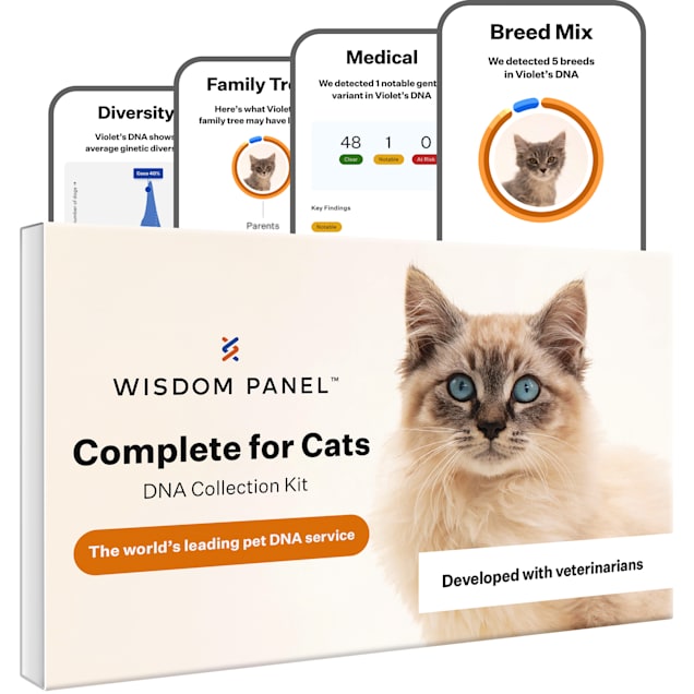 Wisdom Panel Complete Cat DNA Test - Carousel image #1