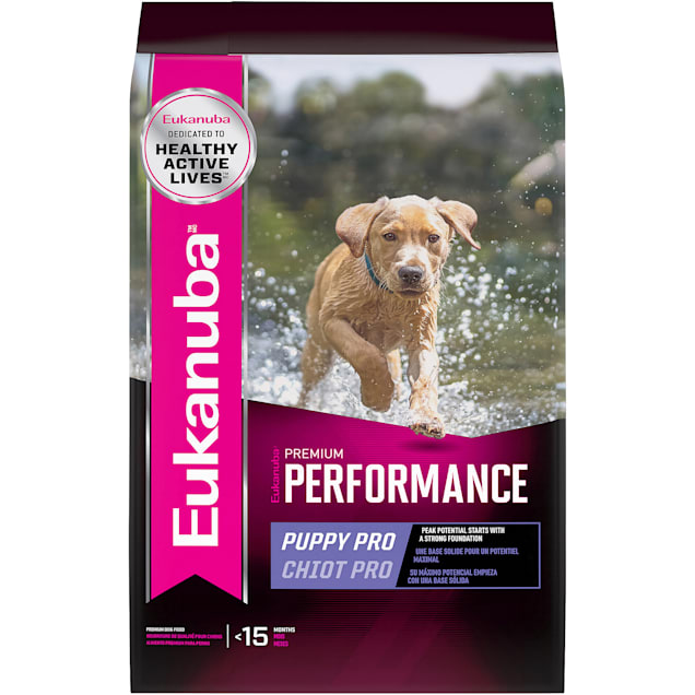 Dog Performance Food | lupon.gov.ph