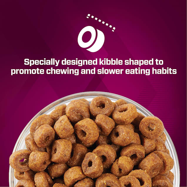 Petco eukanuba discount
