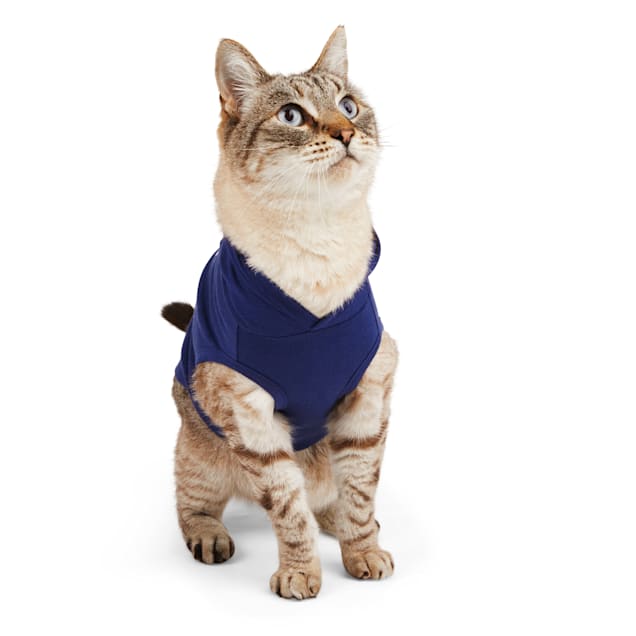 Cat in supreme hoodie sales