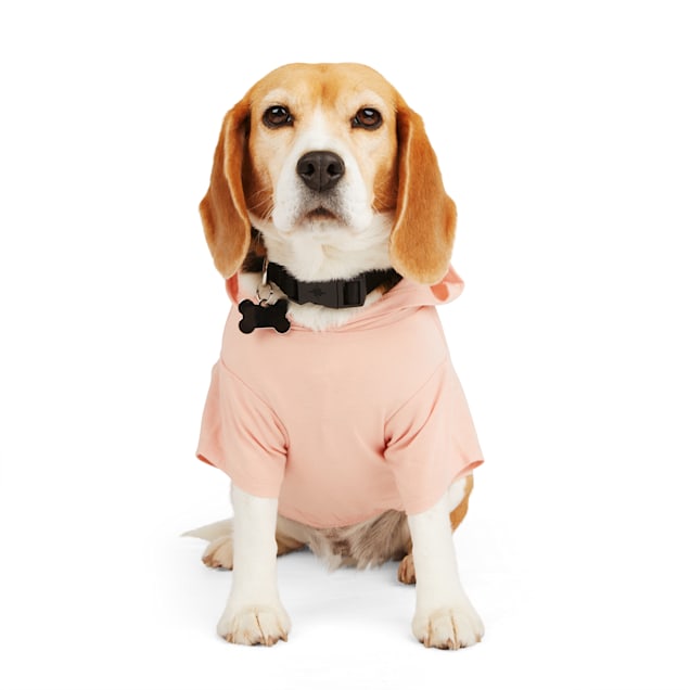 YOULY Treat O Clock Dog Hoodie XX Small Petco