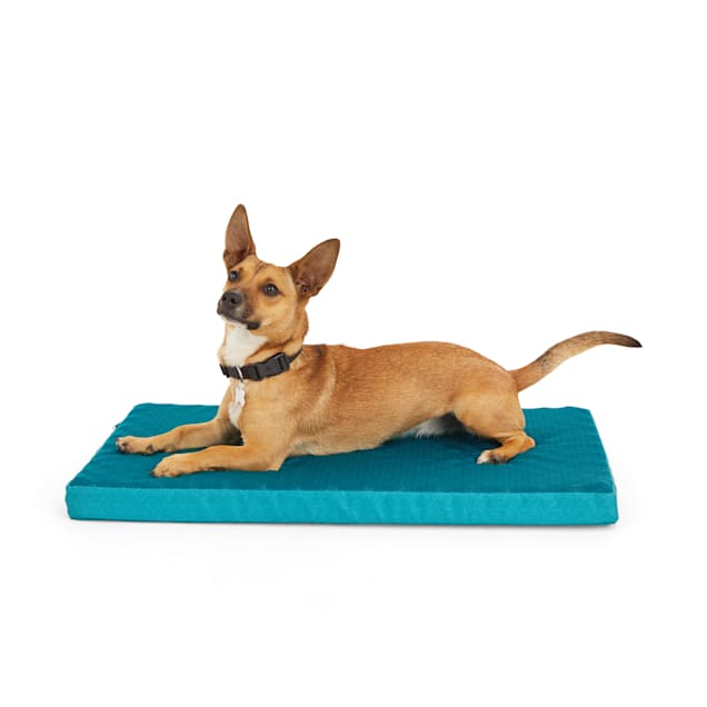 EveryYay Teal Cool Orthopedic Dog Crate Mat 30 L x 19 W x 2 H