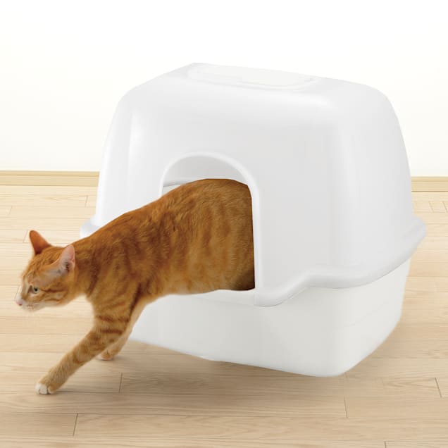 Petco hooded litter box discount