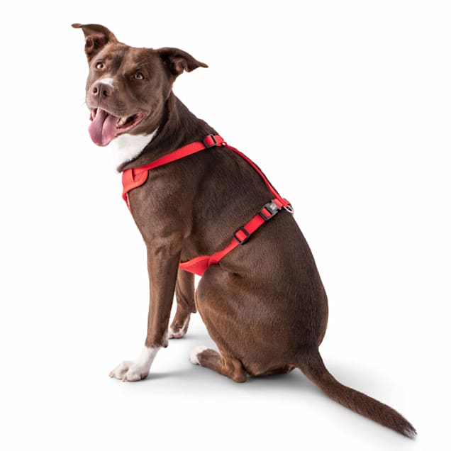 Breathable All-Weather Dog Harness X-Small / Red