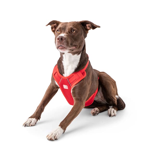 GF Pet Red Travel Harness for Dogs XX Small Petco