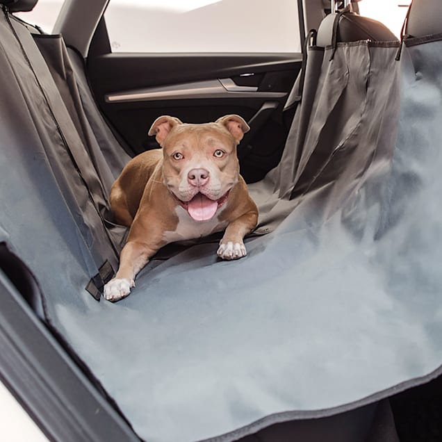 Dog car hammock petco discount