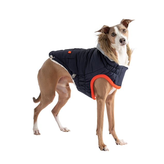 GF Pet Navy Winter Sailor Dog Parka, X-Small - Carousel image #1