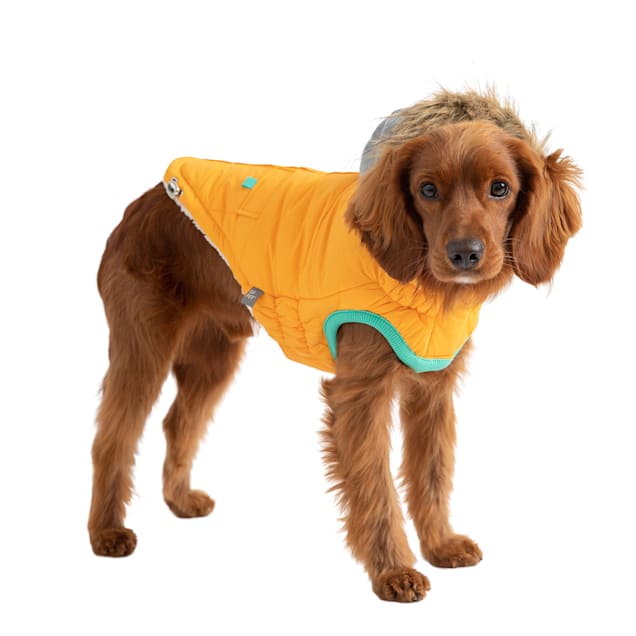 GF Pet Yellow Winter Sailor Dog Parka, X-Small - Carousel image #1