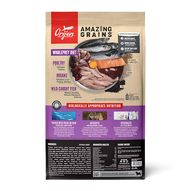 ORIJEN High Protein Amazing Grains Large Breed Dry Puppy Food