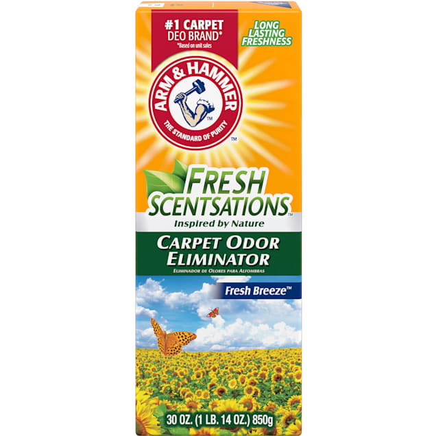 Arm and hammer extra strength carpet odor eliminator safe for pets outlet
