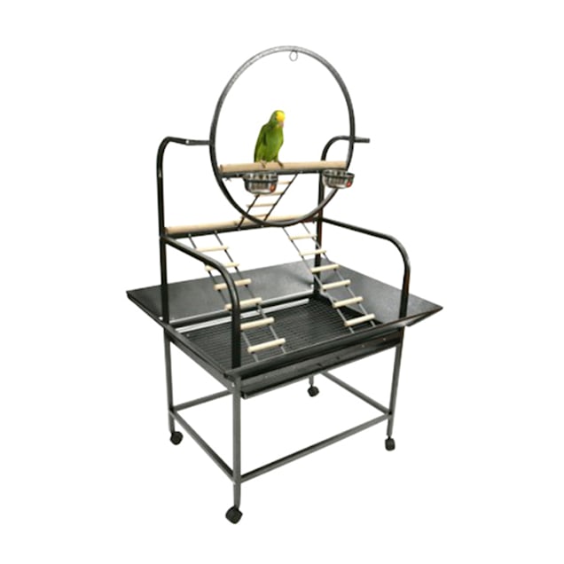 A&E Cage Company Black The "O" Parrot Play Stand with Ladder, 32" L X 21" W X 64" H - Carousel image #1