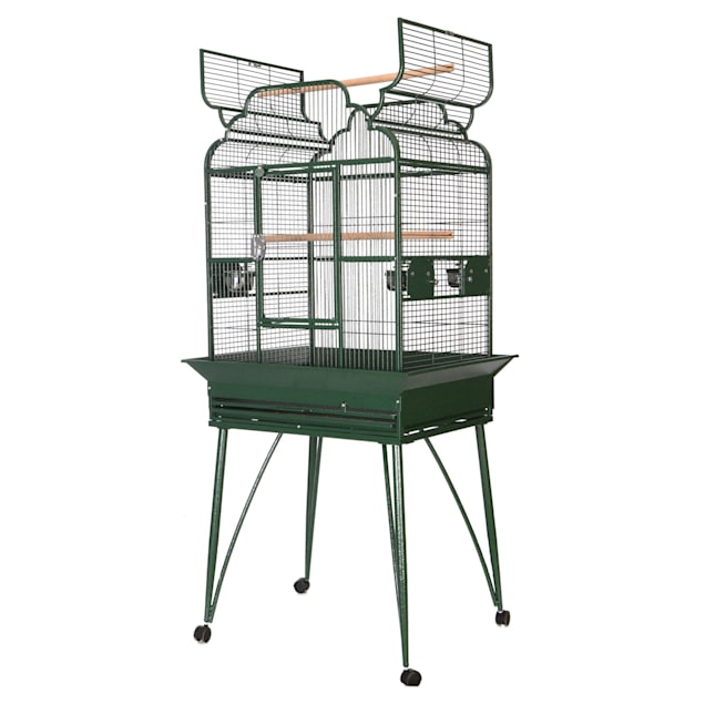 A&E Cage Company Victorian Open Top Cage in Green, 22" L X 17" W X 62" H - Carousel image #1