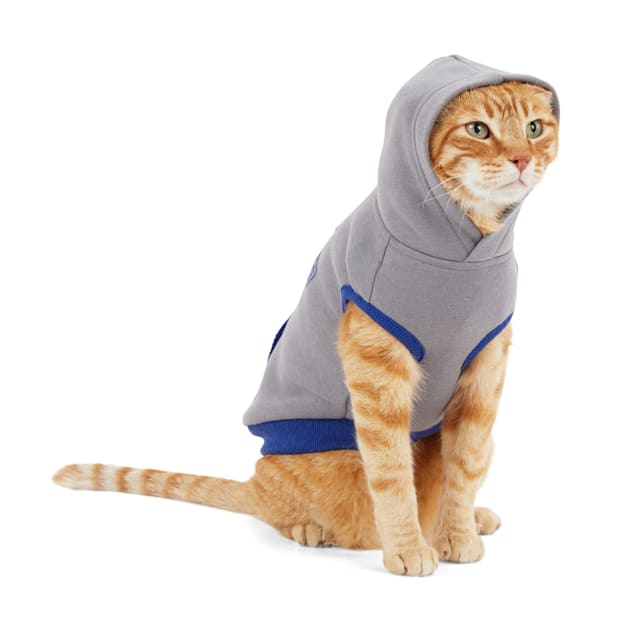 Sweatshirt for cat hot sale