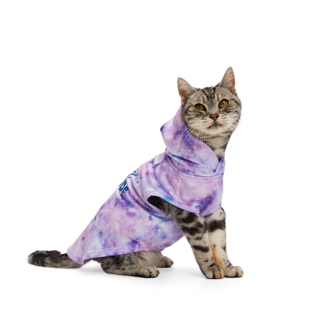 Petco cat clothes 2025