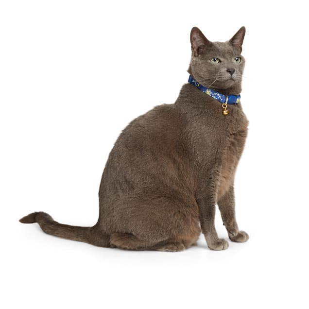 Extra large cat collars 2025