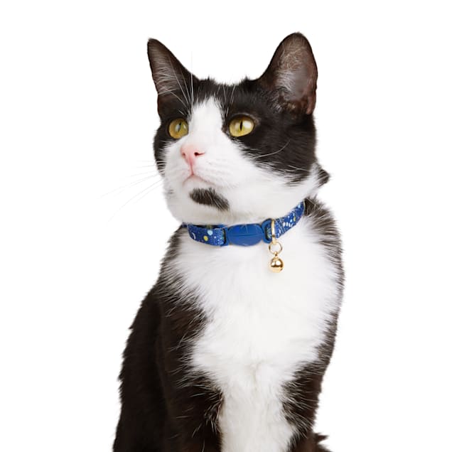 Black and white cat collar cheap