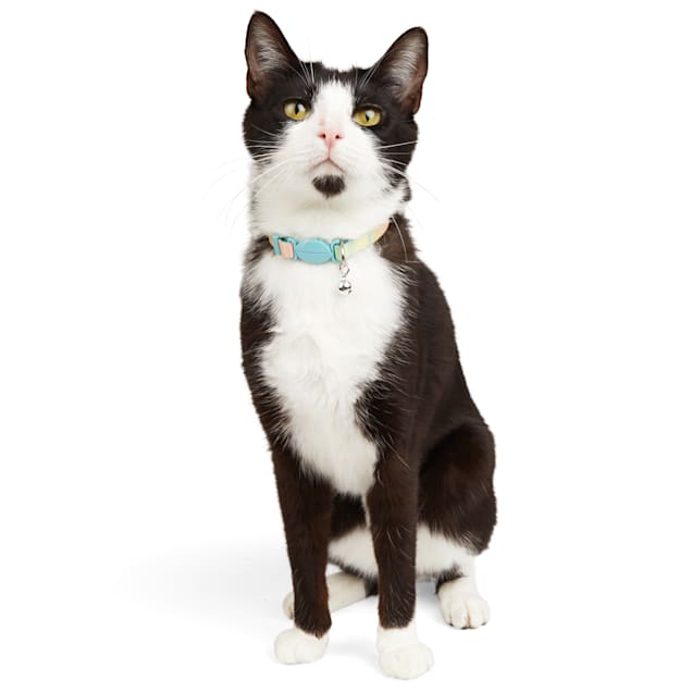 Petco e cheap collar cat