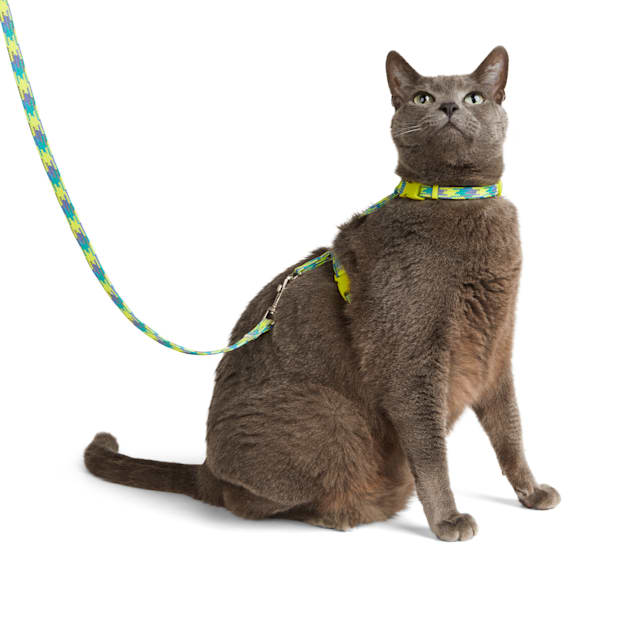 YOULY Green Cat Harness & Lead